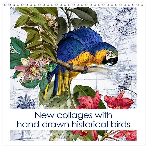 New collages with hand drawn historical birds (Wandkalender 2024 30x30 cm 30x60 cm geöffnet) CALVENDO Broschürenkalender mit Monatskalendarium zum Eintragen