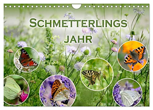 Schmetterlingsjahr (Wandkalender 2024 DIN A4 quer), CALVENDO Monatskalender: Heimische Schmetterlinge digital eingefangen. (CALVENDO Tiere)