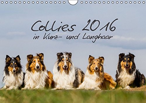 Collies 2016 in Kurz- und Langhaar (Wandkalender 2016 DIN A4 quer): Ein Kalender für alle Collie- und Hundefreunde (Monatskalender, 14 Seiten ) (CALVENDO Tiere) von Calvendo