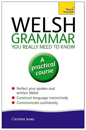 Welsh Grammar You Really Need to Know: Teach Yourself