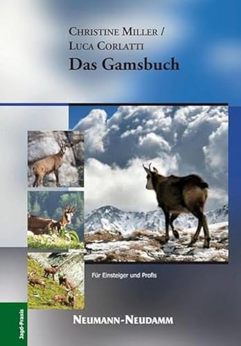 Das Gamsbuch: Für Einsteiger und Profis