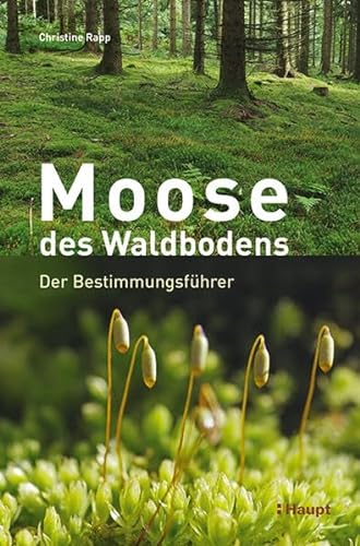 Moose des Waldbodens: Der Bestimmungsführer von Haupt Verlag AG