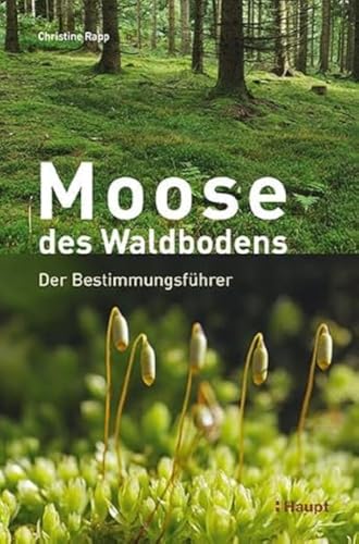 Moose des Waldbodens: Der Bestimmungsführer von Haupt Verlag AG