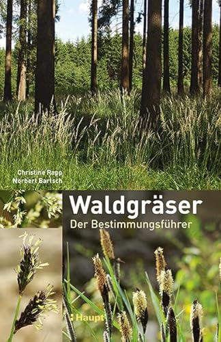 Waldgräser: Der Bestimmungsführer von Haupt Verlag AG