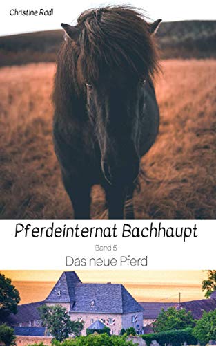 Das neue Pferd (Pferdeinternat Bachhaupt, Band 5) von Independently published