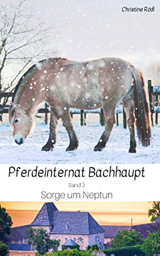 Sorge um Neptun (Pferdeinternat Bachhaupt, Band 3) von Independently published