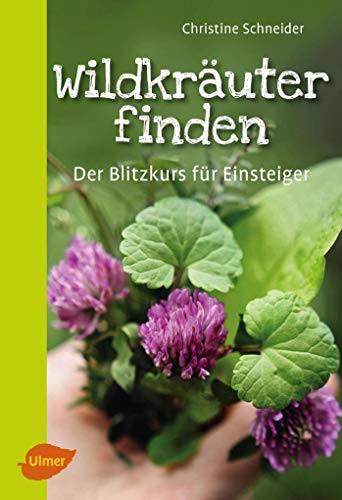 Wildkräuter finden: Der Blitzkurs für Einsteiger