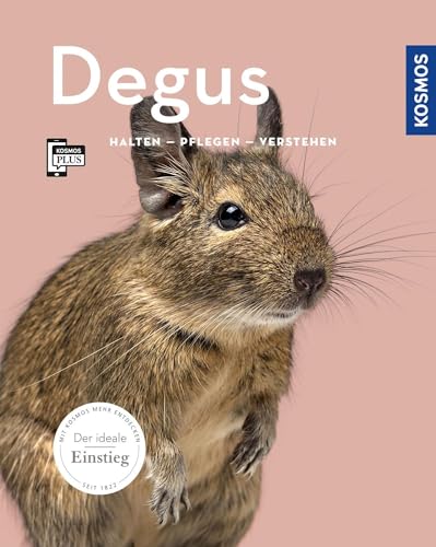 Degus: Halten, pflegen, verstehen