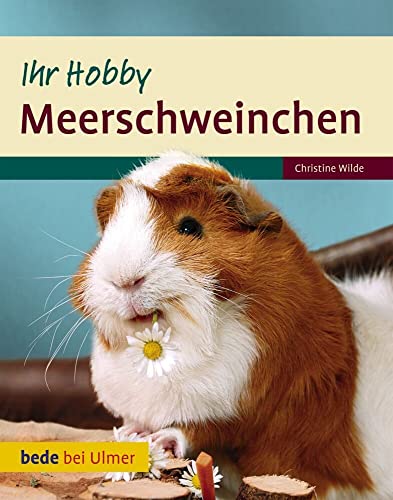 Ihr Hobby Meerschweinchen