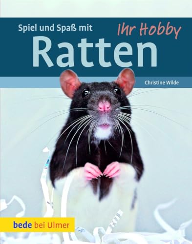 Ihr Hobby Spiel und Spaß mit Ratten