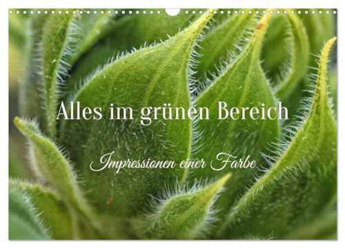 Alles im grünen Bereich (Wandkalender 2025 DIN A3 quer), CALVENDO Monatskalender von CALVENDO