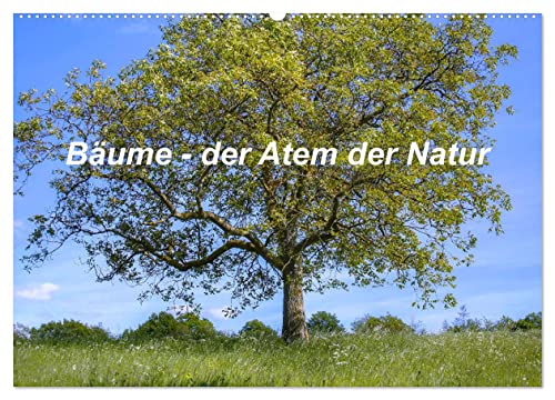 Bäume, der Atem der Natur (Wandkalender 2024 DIN A2 quer), CALVENDO Monatskalender