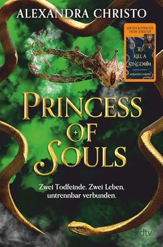 Princess of Souls: Mitreißende Enemies-to-Lovers-Romantasy der TikTok-Erfolgsautorin von ›To Kill a Kingdom‹ | Hochwertig veredelt von dtv Verlagsgesellschaft mbH & Co. KG