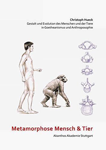 Metamorphose Mensch und Tier: Gestalt und Evolution des Menschen und der Tiere in Goetheanismus und Anthroposophie