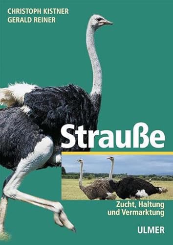 Strauße: Zucht, Haltung und Vermarktung