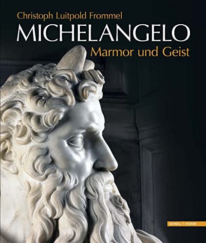 Michelangelo Marmor und Geist: Das Grabmal Papst Julius' II. und seine Statuen von Schnell & Steiner