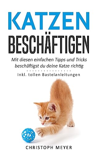 Katzen beschäftigen: Mit diesen einfachen Tipps und Tricks beschäftigst du deine Katze richtig - Inkl. tollen Bastelanleitungen (Katzen trainieren, Band 4)