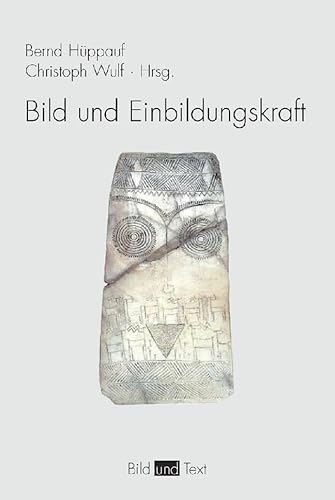 Bild und Einbildungskraft (Bild und Text) von Brill | Fink