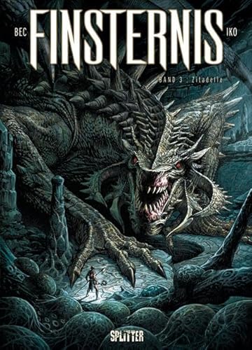 Finsternis. Band 3: Zitadelle Finsternis. Band 3: Zitadelle