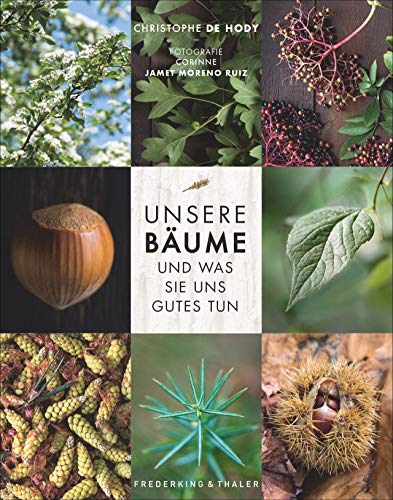 Unsere Bäume und was sie uns Gutes tun. Alles über Bestimmung, Sammlung und Nutzung der 20 häufigsten Bäume in unseren Wäldern. Mit köstlichen Rezepten und Infos Heilkraft der Bäume.