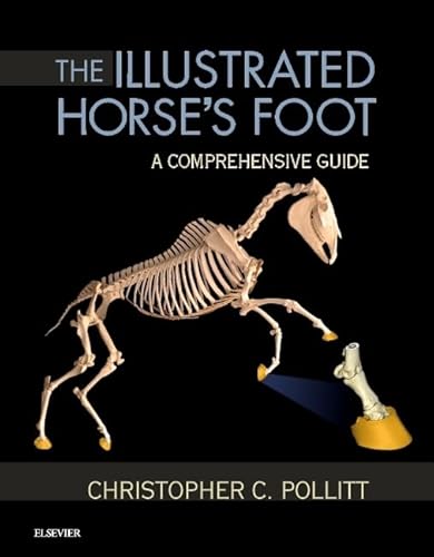 The Illustrated Horse's Foot: A comprehensive guide von Saunders