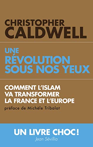 Comment l'Islam va transformer la France et l'Europe: Comment l'Islam va transformer l'Europe et la France von ARTILLEUR