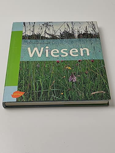 Wiesen Wiesen