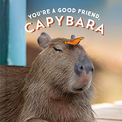 You're a Good Friend, Capybara von Chronicle Books