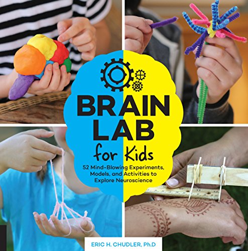 Brain Lab for Kids: 52 Mind-Blowing Experiments, Models, and Activities to Explore Neuroscience von Quarry Books