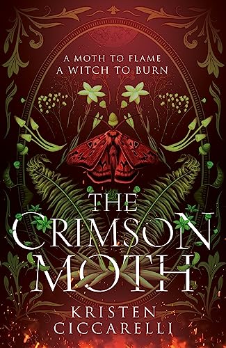 The Crimson Moth: The perfect witch x witch hunter, enemies to lovers, YA romantasy that is a 2024 TikTok favourite von Magpie