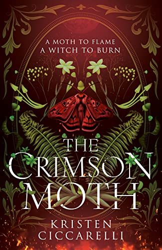 The Crimson Moth: The perfect witch x witch hunter, enemies to lovers, YA romantasy that is a 2024 TikTok favourite The Crimson Moth: The perfect witch x witch hunter, enemies to lovers, YA romantasy that is a 2024 TikTok favourite