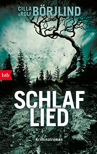 Schlaflied: Kriminalroman (Die Rönning/Stilton-Serie, Band 4) von btb Taschenbuch