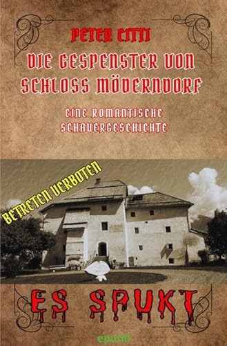 Die Gespenster von Schloss Möderndorf: Eine romantische Schauergeschichte