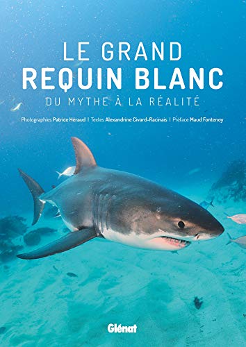 Le grand requin blanc: Du mythe à la réalité Le grand requin blanc: Du mythe à la réalité von GLENAT