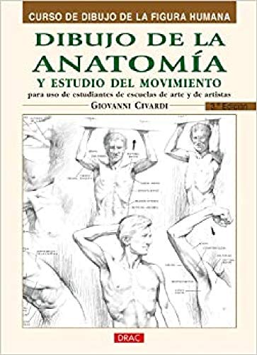 Dibujo de la anatomía y estudio del movimiento