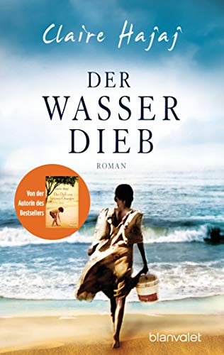 Der Wasserdieb: Roman von Blanvalet