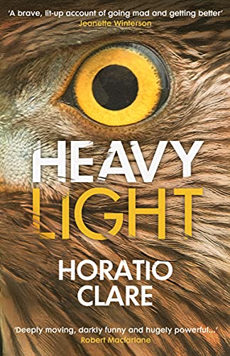 Heavy Light: A Journey Through Madness, Mania and Healing von Vintage
