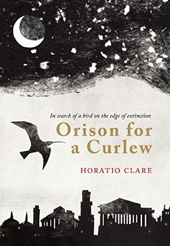 Orison for a Curlew: In Search for a Bird on the Edge of Extinction
