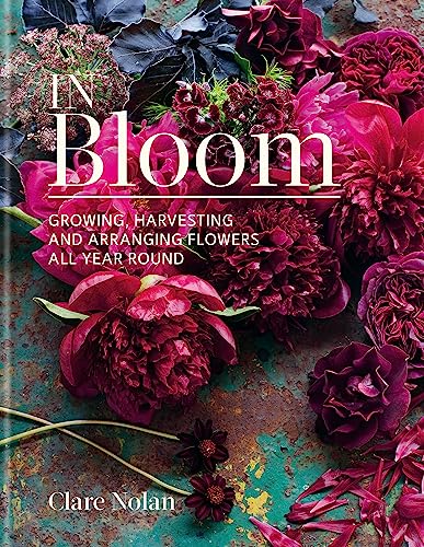 In Bloom: Growing, harvesting and arranging flowers all year round von Kyle Books