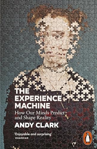 The Experience Machine: How Our Minds Predict and Shape Reality