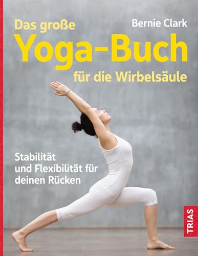 Das große Yoga-Buch für die Wirbelsäule: Stabilität und Flexibilität für deinen Rücken