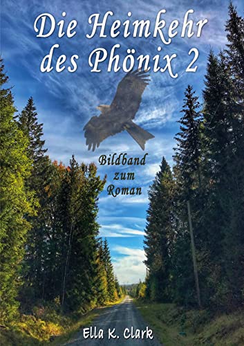 Die Heimkehr des Phönix 2: Bildband zum Roman von BoD – Books on Demand