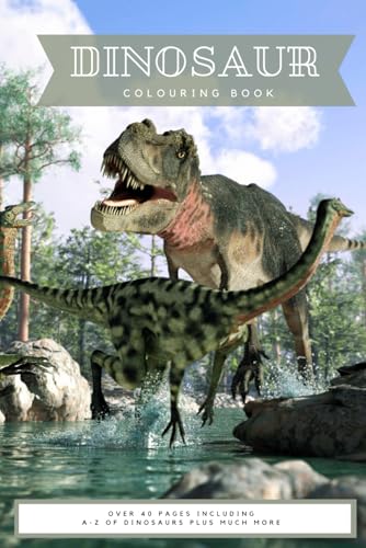 "Alphabetasaurus: A Dinosaur ABC Colouring Adventure": A-Z of Dinosaurs plus much more von Independently published