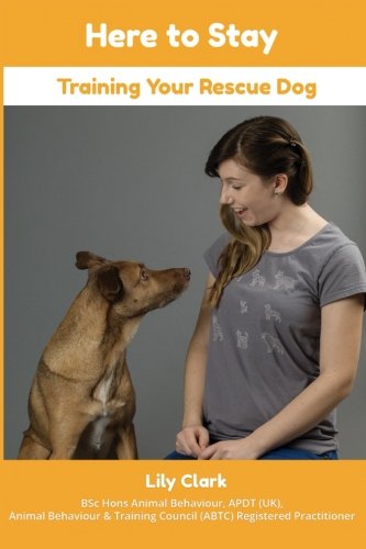 Here to Stay: Training Your Rescue Dog von Nielsen UK ISBN