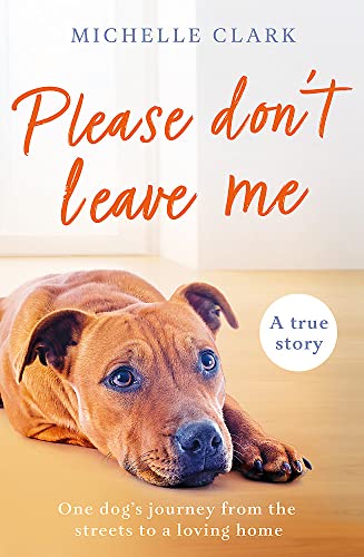 Please Don't Leave Me: The heartbreaking journey of one man and his dog von Seven Dials