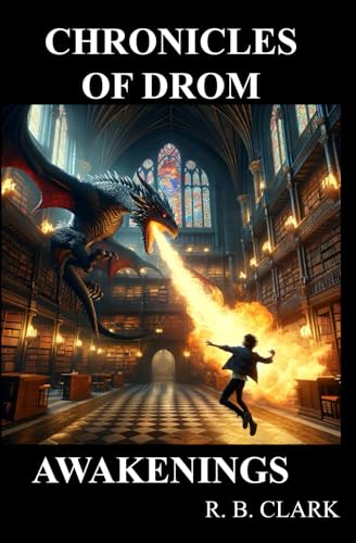 Chronicles of Drom: Awakenings von Independently published