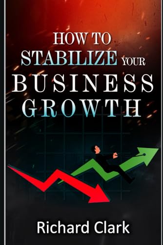 How to Stabilize Your Business Growth von Independently published