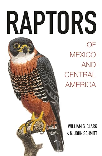 Raptors of Mexico and Central America von Princeton University Press