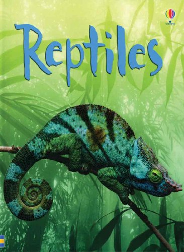 Reptiles (Usborne Beginners: Level 2)