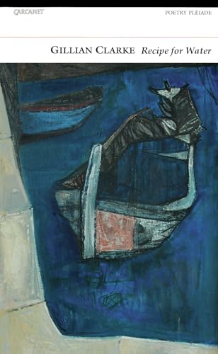 A Recipe for Water von Carcanet Press